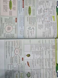 Allen Biology NCERT Fast Track