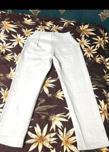 Formal Straight Fit Pants