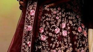 Elegant Embroidered Indian Outfit