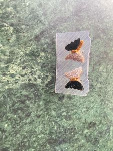 Combo Floral Stud/ Butterfly Earrings