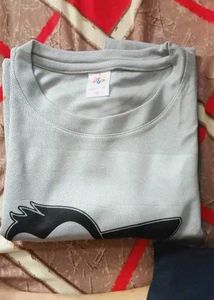 Penguin Grey Printed Tshirt