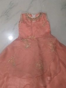 Peach Colored Dress with Embroidery