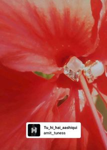 Pearl Stud Earrings