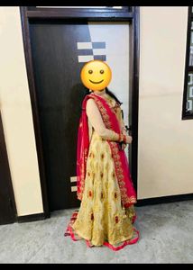 Elegant Pakistani/Indian Wedding Dress