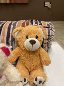 Teddy Bear Collection