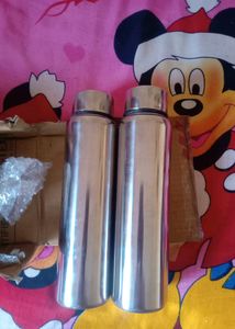 Stainless Steel Water Bottle