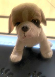 Adorable Soft Toy Pug Dog for Sale! 🐾