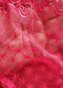 Vibrant Red Netted Panty