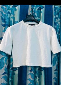 White Summery Basic Crop Oversized Tee.✨