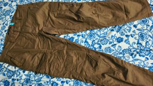 Brown Cargo Pants