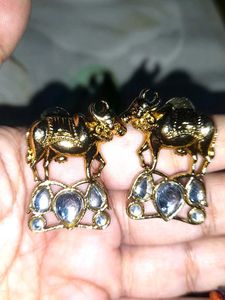 Combo earrings and natural stones earring