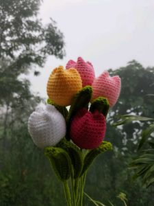 Tulip 🌷 Flower