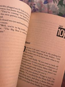 Hardy Boys Book