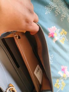 Baggit bag Up For Sale