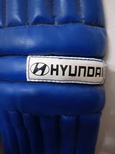 Leg Pads
