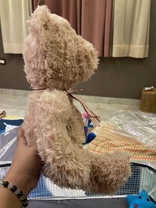 Cute Teddy Bear