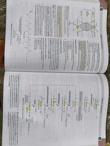 Biochemistry 6th Edition