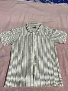 Collard Half Slv Shirt With Green Stripe