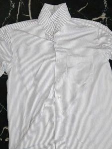 Striped Button-Down Shirt