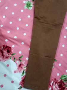 Brown Slim Fit Pants/Jeggings