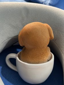 Dog In Cup show piece