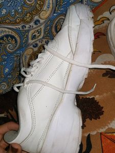 White Casual Sneakers