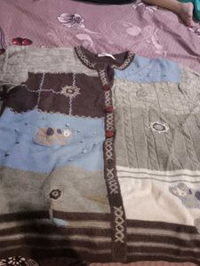 Rarely Used Sweater
