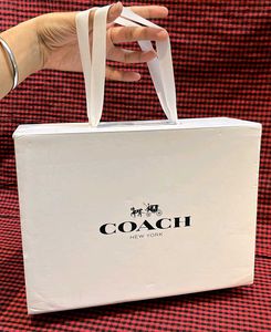 Coach Carrybag Cum Magnetic Box
