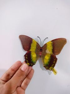 Double Layer Butterfly 🦋 decor Now Free Delivery