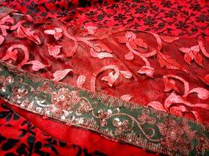 Red net dual saree