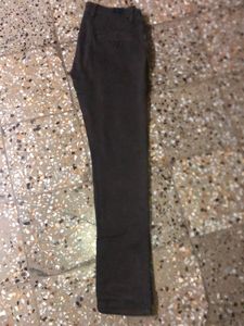 coffee brown Casual Pants