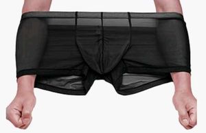 Sheer Mesh Boxer Briefs