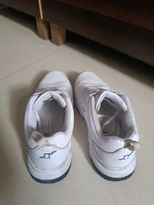Sparx Men White Shoe | Shoes | Footwear | Juta