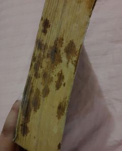 New Moon (Twilight Book2)