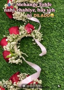 For Wedding And Haldi Function