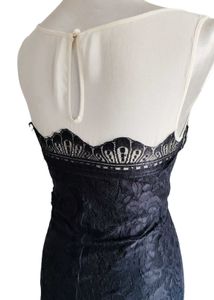 Vintage Lace Party Dress