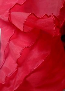 Red Ruffle Top