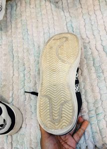 🇻🇳 Adidas Campus Imported Sneakers