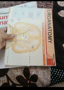 BD Chaurasia&#39;s Human Anatomy Vol. 4