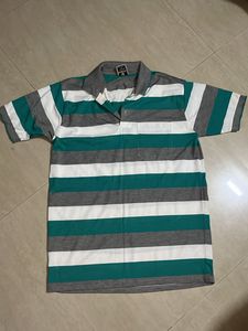 Daily Wear polo T-Shirt For Men