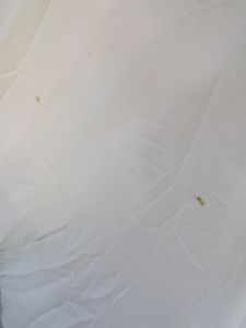 White Maxi Dress With Washable Stains