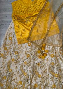 Embroidered Lehenga