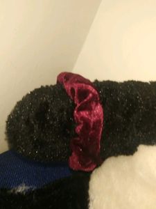 Burgundy Velvet Scrunchie
