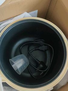 Electric rice Cooker