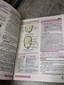 Class 9 Icse Biology Textbook