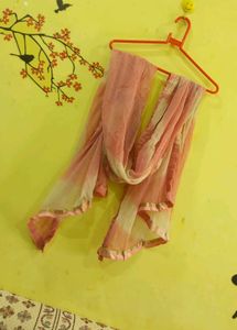 Pink Georgette Dupatta💕