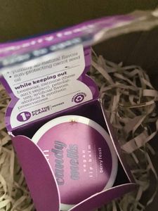 Plum Candy Melts Lip Balm