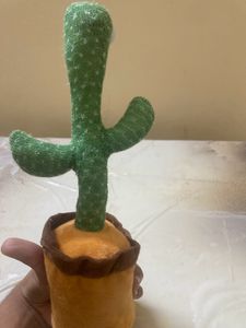 Dancing Cactus Toy