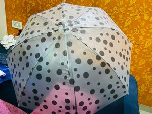 Umbrella New With Tag