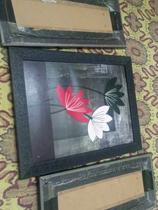 3pc Set Of Flora Paintings Without Glass